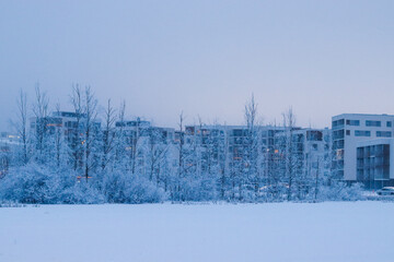 houses in the winter