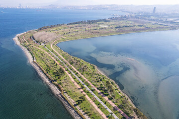 Flamingos seen at the Cakalburnu lagoon of Izmir City Forest Inciralti.