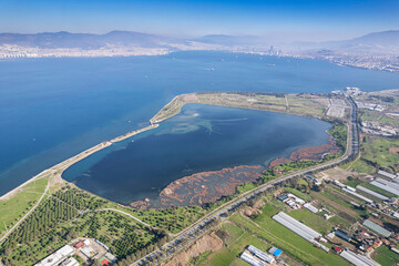 Fototapeta premium Flamingos seen at the Cakalburnu lagoon of Izmir City Forest Inciralti.