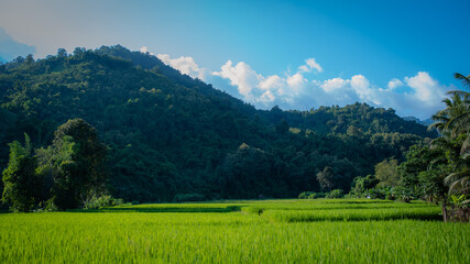 Obraz premium beautiful nature background images.