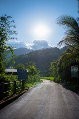 beautiful nature background images.