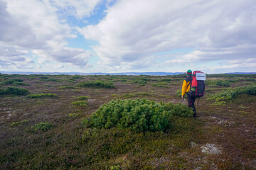 Naklejka premium Traveler in the tundra in the north of Sakhalin Island