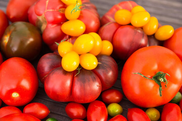 different varieties of ripe red and yellow appetizing tomatoes