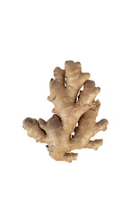Top view of ginger root isolated on white background.