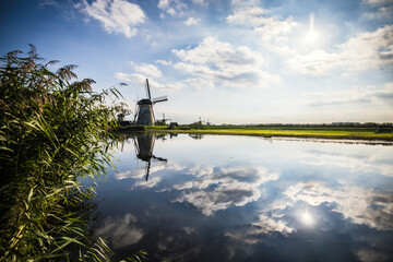 Horizontal picture of the famous Dutch windmills at Kinderdijk, a UNESCO world heritage site. On the photo are five of the 19 windmills at Kinderdijk, South Holland, the Netherlands, which are built - obrazy, fototapety, plakaty