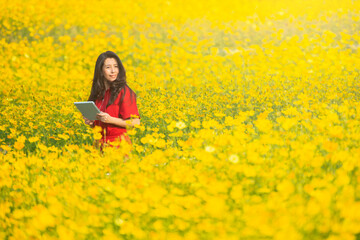 Happy joyful florist gardener asian woman examines the farm ana checking flower quality by using tablet in Field of cosmos flower. Gardening and floriculture. Growing flower in home garden. 