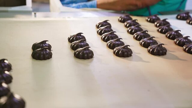 Packaging chocolate marshmallows into boxes at the factory. Coated zephyr candies are taken away from the conveyor belt.