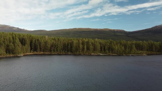 Lake Coast Scenic Mountain Range Forest Norway 4K Drone Fly Over Nedre Bjorvatn