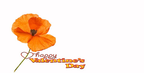 composition of spring flowers bouquet with poppies on white background.
Text   Happy Valentine's Day 