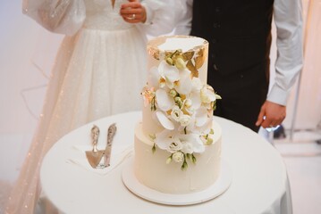 Elegant wedding cake with flowers and succulents