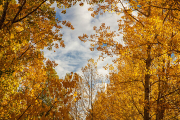 Breathtaking mountain landscape. The Anti Taurus Mountains. Aladaglar National Park. Turkey.