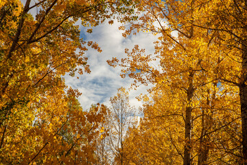 Breathtaking mountain landscape. The Anti Taurus Mountains. Aladaglar National Park. Turkey.