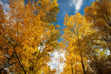 Fototapeta premium Breathtaking mountain landscape. The Anti Taurus Mountains. Aladaglar National Park. Turkey.