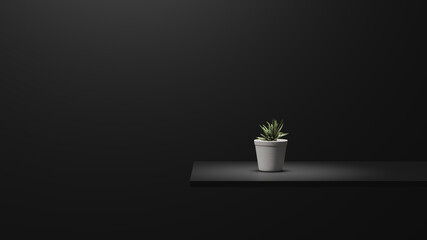 Abstract dark background with succulent plant