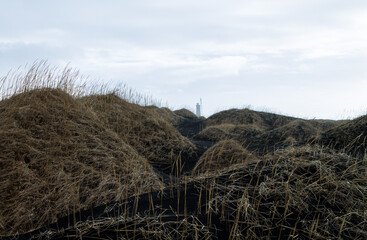 Fototapeta na wymiar faro fra le dune si sabbia nera in Islanda