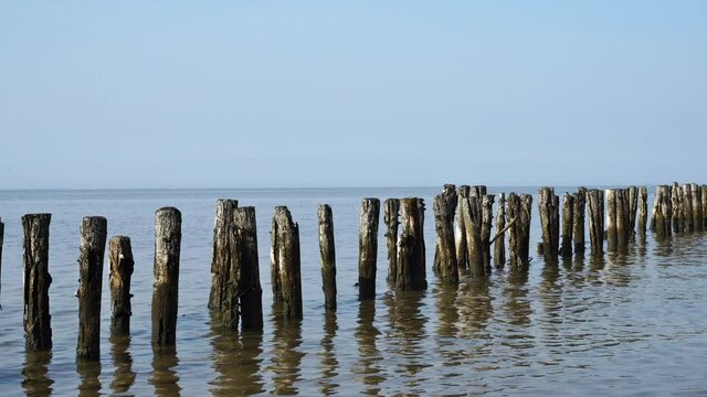 Buhnen im Watt an der Nordseek&uuml;ste - Nordsee K&uuml;ste bei Westerhever