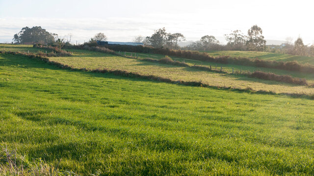 Zona de praderas de hierba al atardecer
