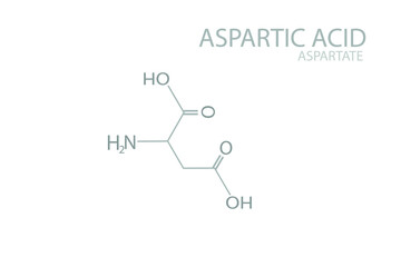 Aspartic acid (aspartate) molecular skeletal chemical formula.	