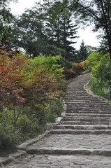 자연과 어우러진 돌 계단.