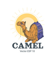 Vector illustration of a camel. Hand drawn sketch. Africa, Egypt