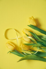 Five yellow fresh tulips on a yellow background. Flowers with the number eight made of ribbon. Concept of holiday, March 8, International womans day. Card with copy space.