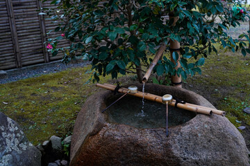 Bamboo water spout fountain on stone basin in back yard Japanese garden , water running by ladle ,this is traditional Japanese Zen Garden in Japan.
