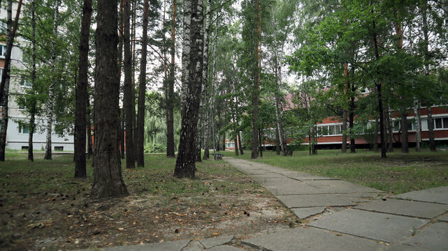 Birch Grove