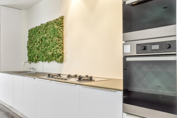 Kitchen interior with basin and equipment