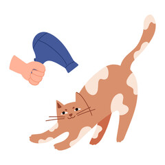 Groomer with a hairdryer in his hand dries the cat's hair. Hair salon, styling and grooming shop, pet store, vet for cats.