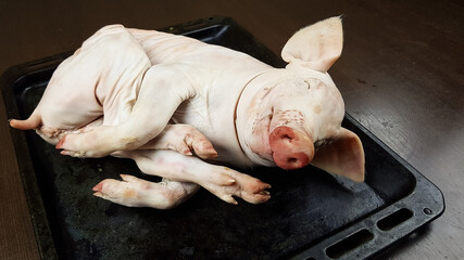 the carcass of a small dairy fresh piglet lies on the Protvin. preparation of an exquisite festive...