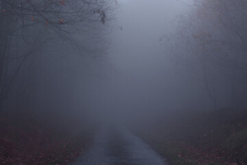 une petite route un soir de brouillard dans la campagne limousine