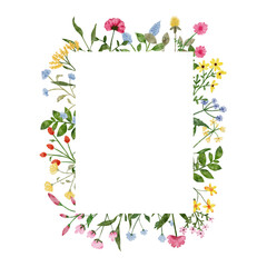 Watercolor wildflower wreath. Botanical spring summer flowers frame. Garden floral greenery wild flowers for wedding invitation. Nature wild herbs design card template illustrations