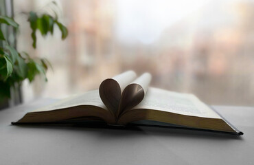 Heart from a book page on the background of a blurred window and a houseplant.