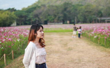 An Asian woman working in a flower garden Cosmos flowers Flowers to touch her. On a clear day