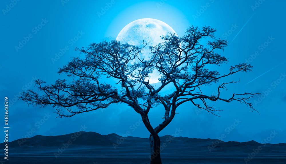 Poster lone dead tree with super full blue moon, amazing clouds in the background 