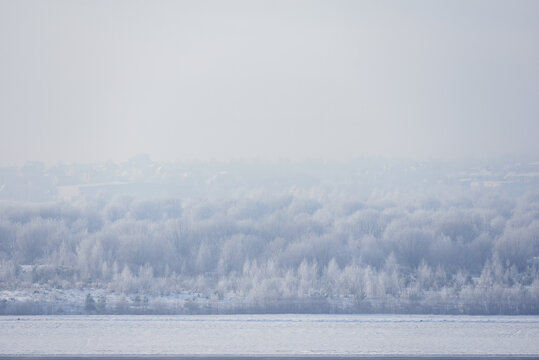 Winter beautiful landscape with trees covered with hoarfrost.  Winter landscape
