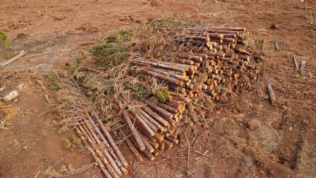 Aerial shot of a section of forest that has been cut down for lumber