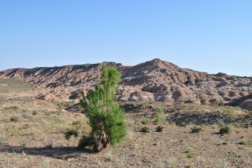 Charyn Canyon in Kazakhstan. Valley of castles in Kazakhstan. An analogue of the American Grand Canyon. Aeolian landforms. Colorful stone mountains in the desert. Desert. Plain.