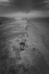footsteps on the desert