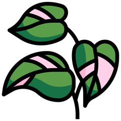 PHILODENDRON PINK PRINCESS Filled Outline © narathip