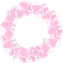 Obraz na płótnie Canvas 桜の輪（背景なし）
