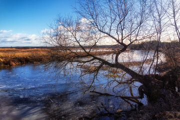 Zima w Osowcu nad rzeką Biebrzą, podlasie, Polska