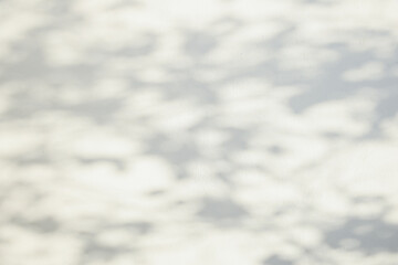 The shadow of the sun shining through the wood