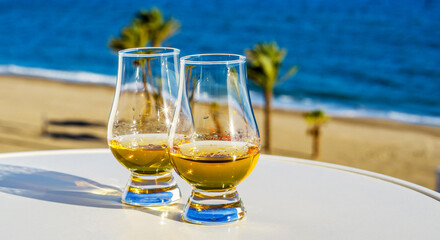Exclusive single malt whiskey in a tasting glass with a beautiful view of the sea on a sunny day