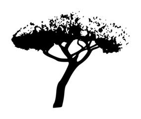 logo pin parasol © Ainoa