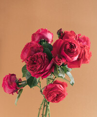 Bouquet of Red Roses on brown background.