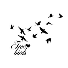 Naklejka na ściany i meble A flock of flying birds. Free birds. Vector illustration