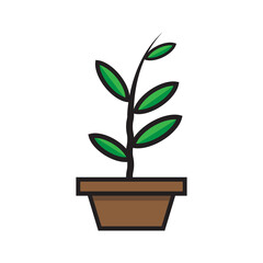 plant design on a container, plant growing leaves, growing vector illustrator eps10