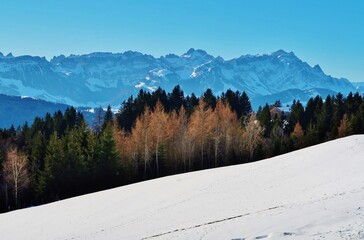 Winterliche Berglandschaft