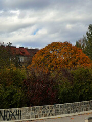 Obraz premium Ein herbstlicher Park mit bewölktem Himmel.